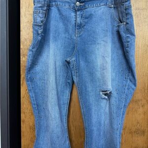 Lane Bryant Light Blue Skinny Jeans with Stud Accents